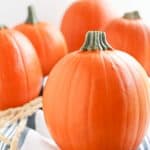 Pressure Cooker Pumpkin Puree made fast and easy