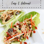 Moo-Shu Pork wrapped in a lettuce wrap sits on a white plate
