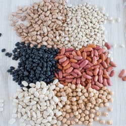 Instant Pot Dried Beans (How to cook any bean)