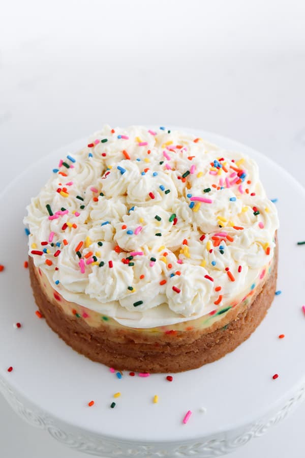 Vanilla cheesecake with oreo crust and colorful sprinkles