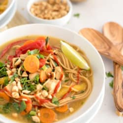 Instant Pot Rainbow Thai Soup