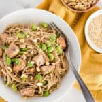 White bowl of noodles, chicken, and edamame with peanuts on top