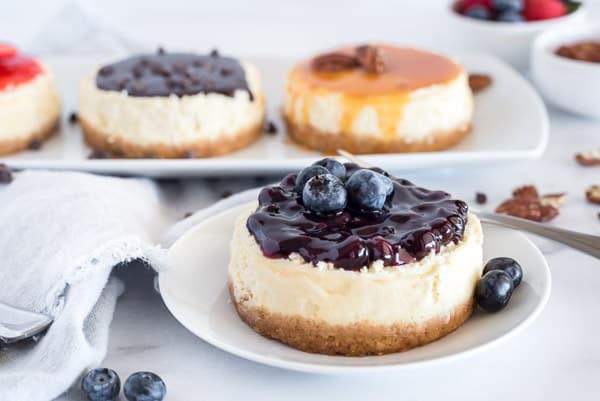 mini cheesecakes with chocolate, caramel pecan and blueberry toppings